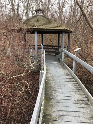 Gazebo on the arboretum boardwalk