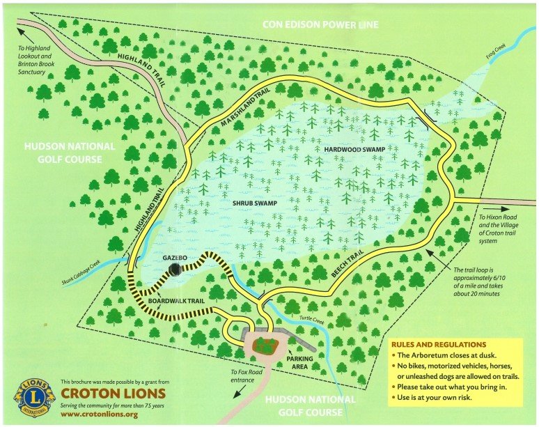 Arboretum paths and wetland