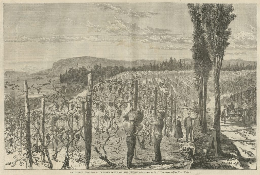 crotonhistory harpers-underhill-vineyard 72dpi mid