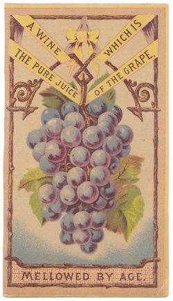 crotonhistory underhill trade card grapes-250px mid