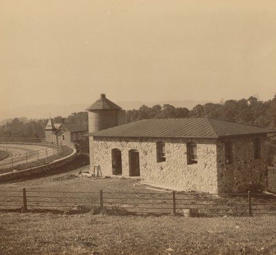 Cow stable and silo