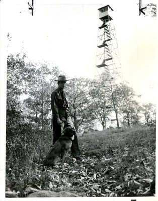 Nelson Mountain fire tower standing
