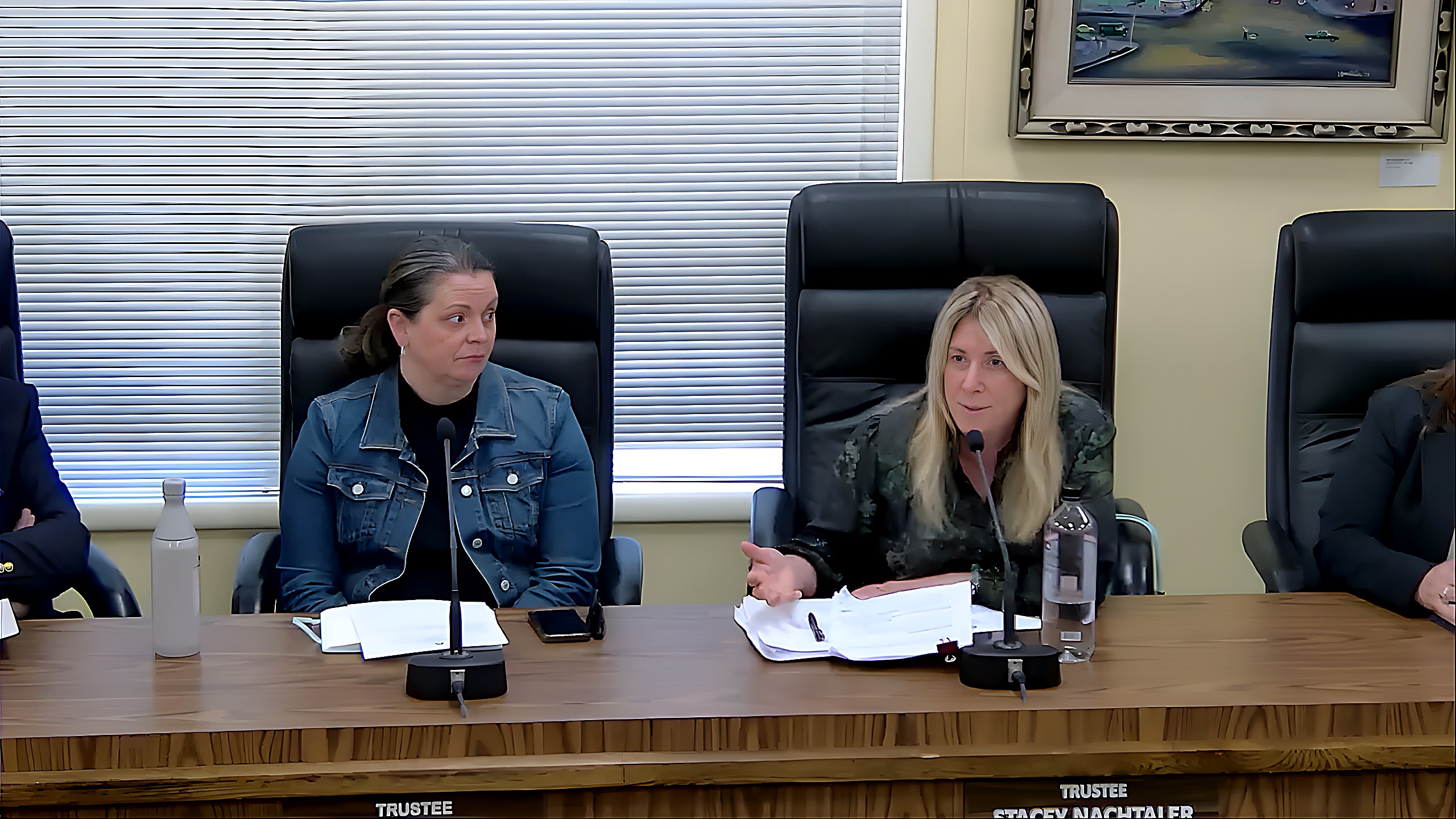 Trustee Stacey Nachtaler during discussion of a speed camera home rule request at the Board Of Trustees meeting.