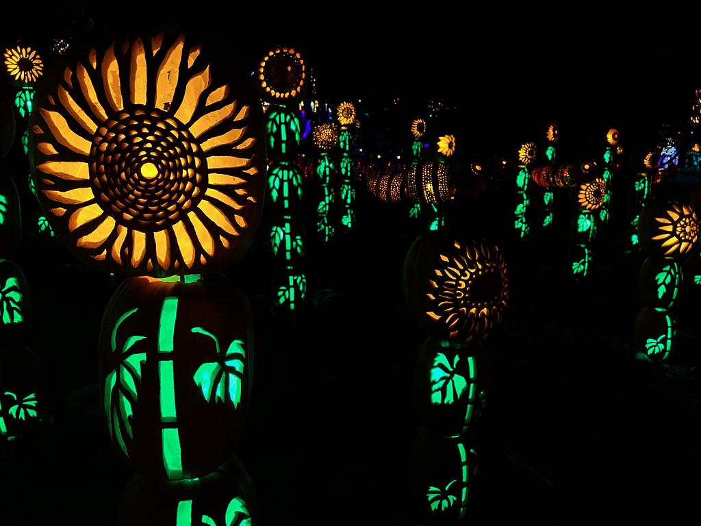 Sunflower pumpkin sculptures