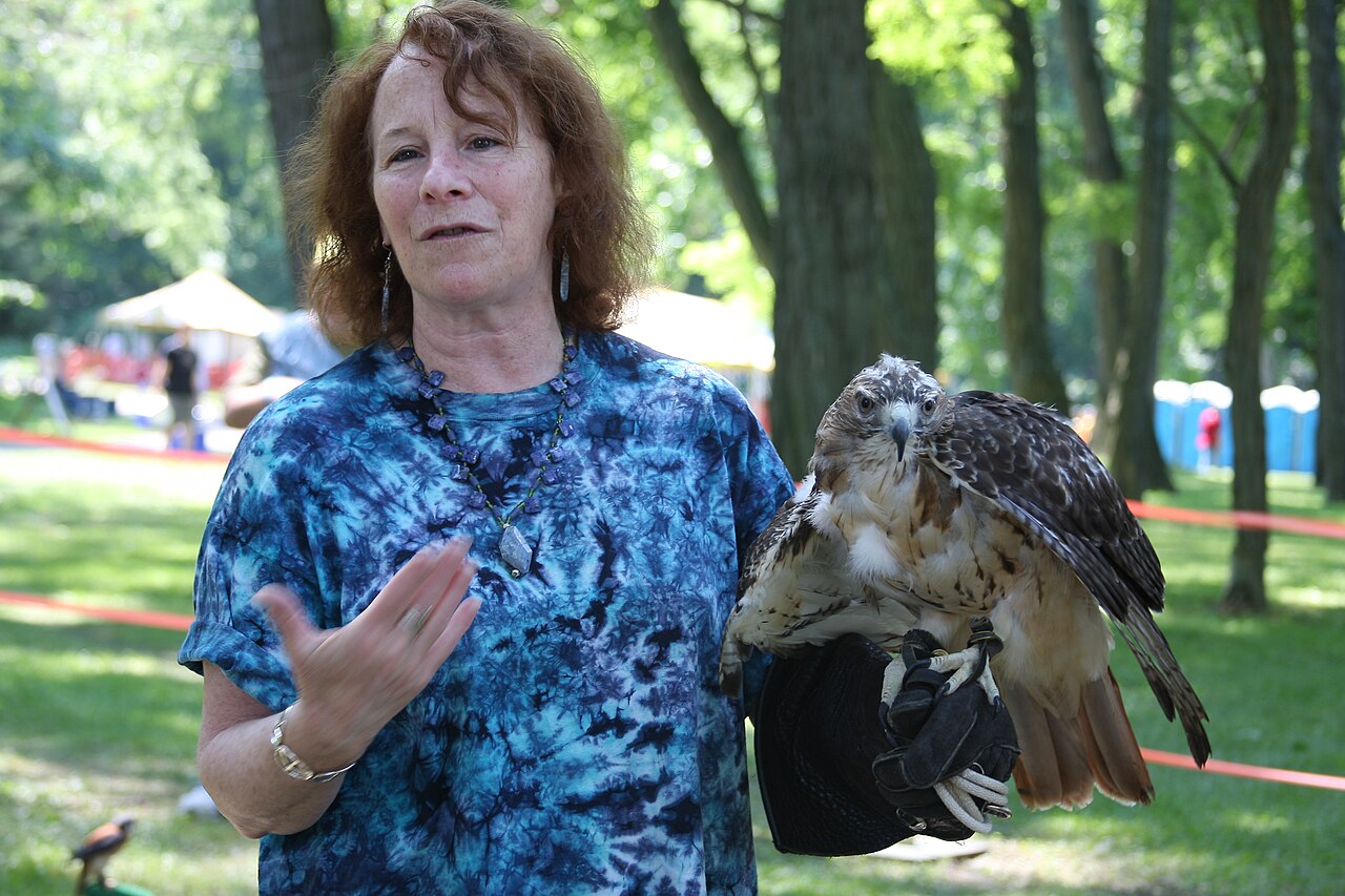 Hawk (2614185837).jpg