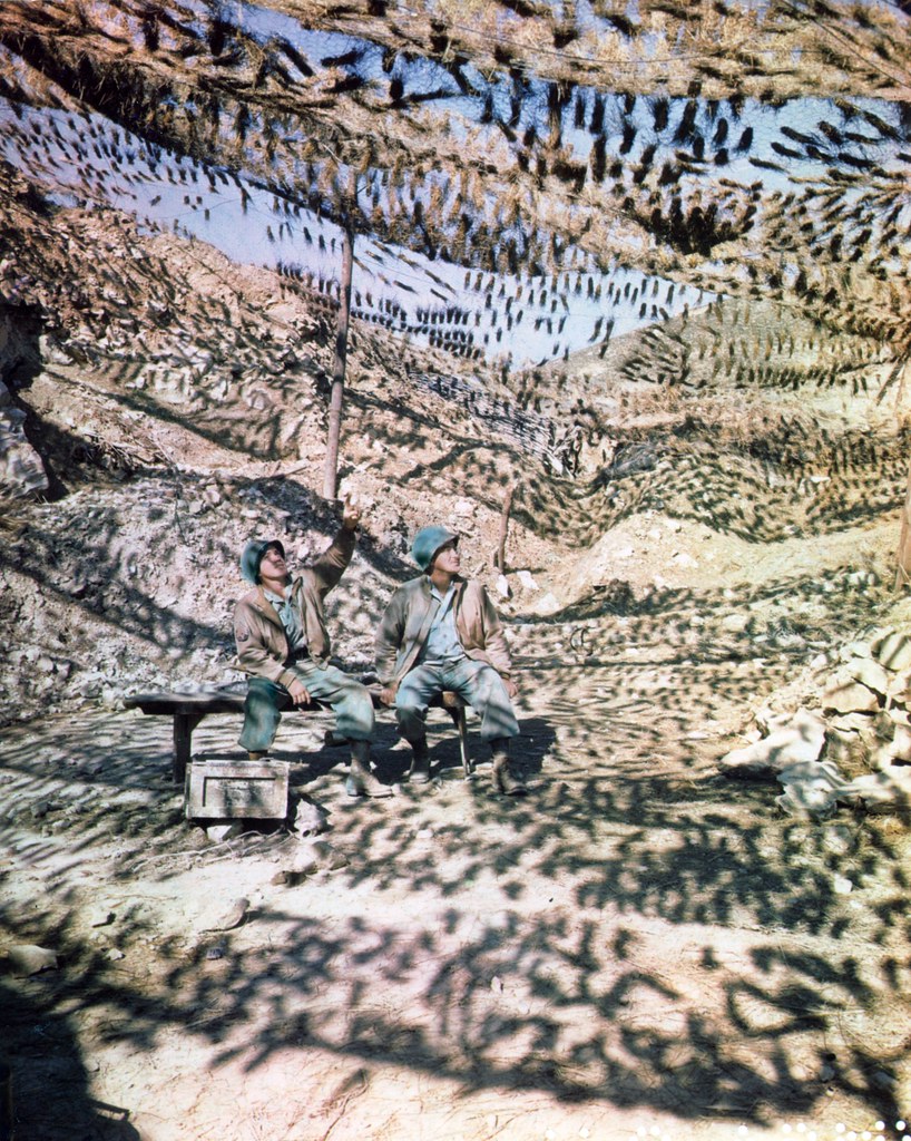 C-1121 - A German gun emplacement in the Gothic Line in the Appenines, showing excellent camouflage from air or ground observation.