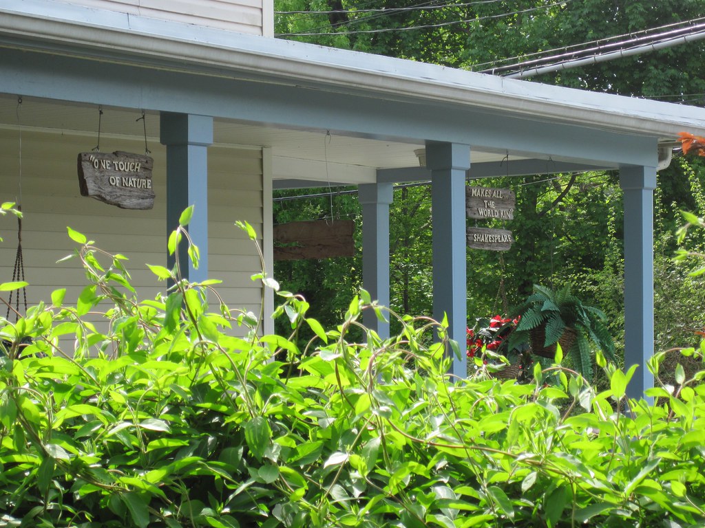 Old Croton Aqueduct Spring 2010