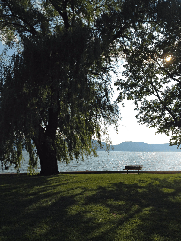 Croton Point Park riverside bench