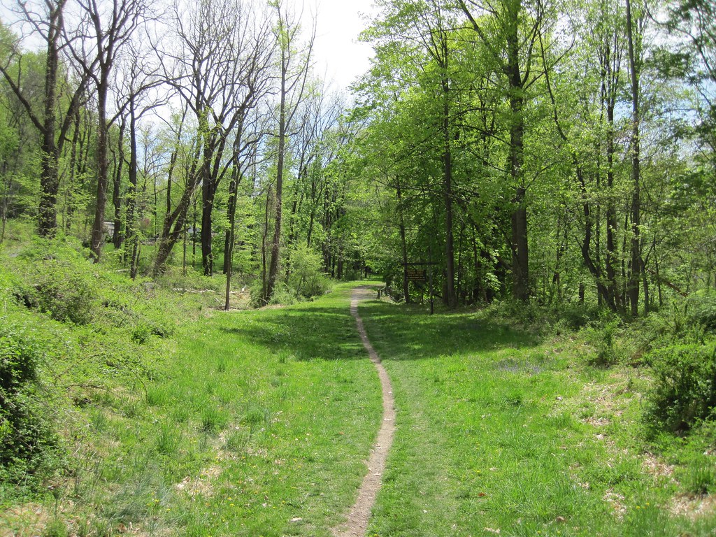 Old Croton Aqueduct Spring 2010