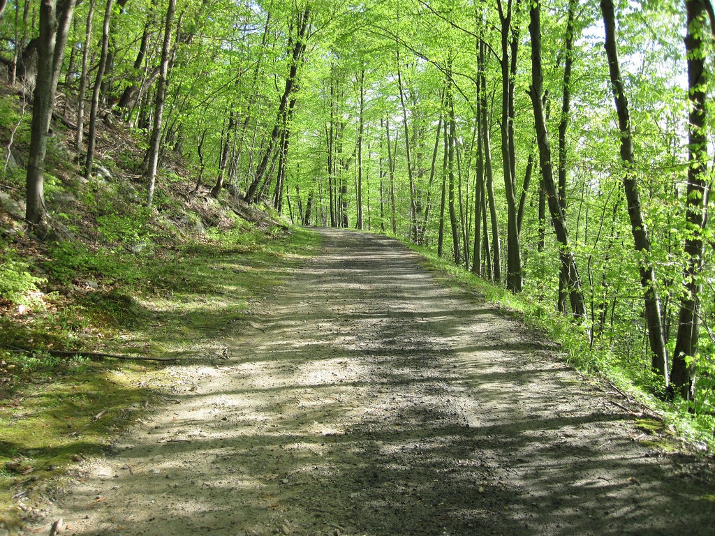 Old Croton Aqueduct Spring 2010