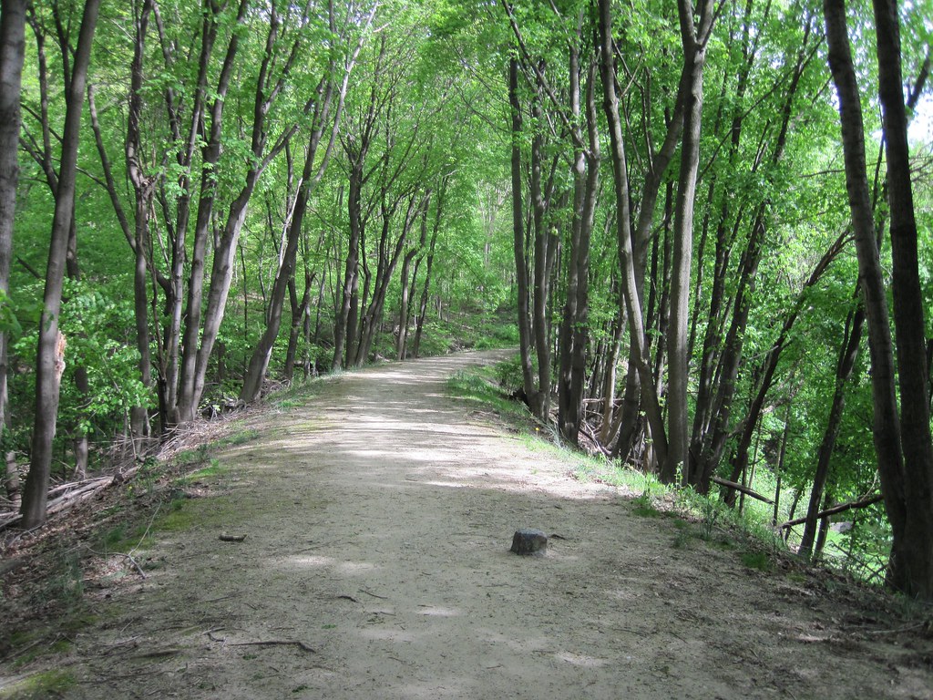 Old Croton Aqueduct Spring 2010