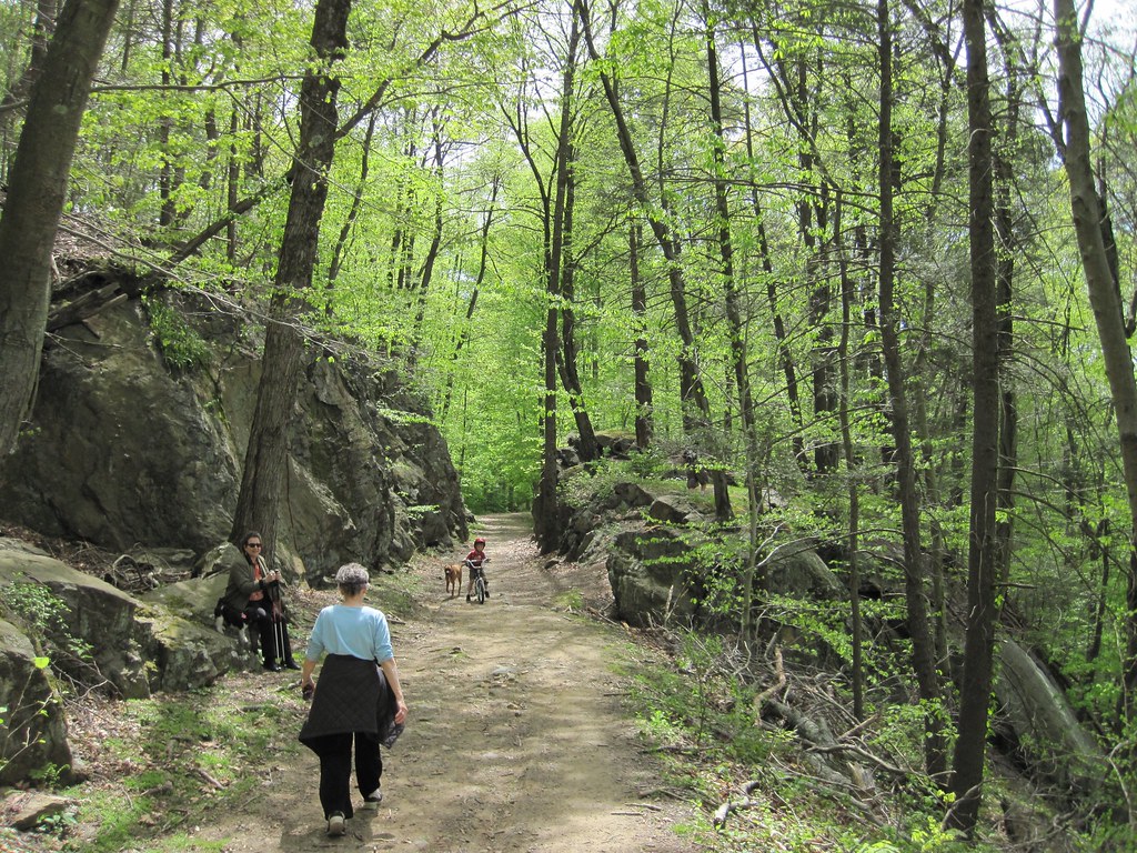 Old Croton Aqueduct Spring 2010