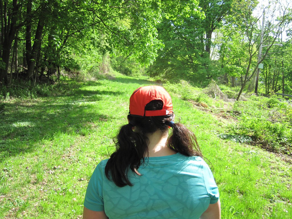 Old Croton Aqueduct Spring 2010