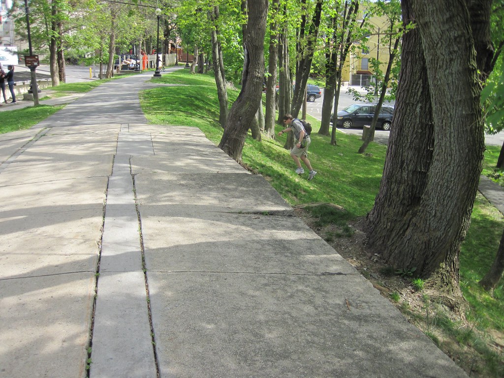 Old Croton Aqueduct Spring 2010