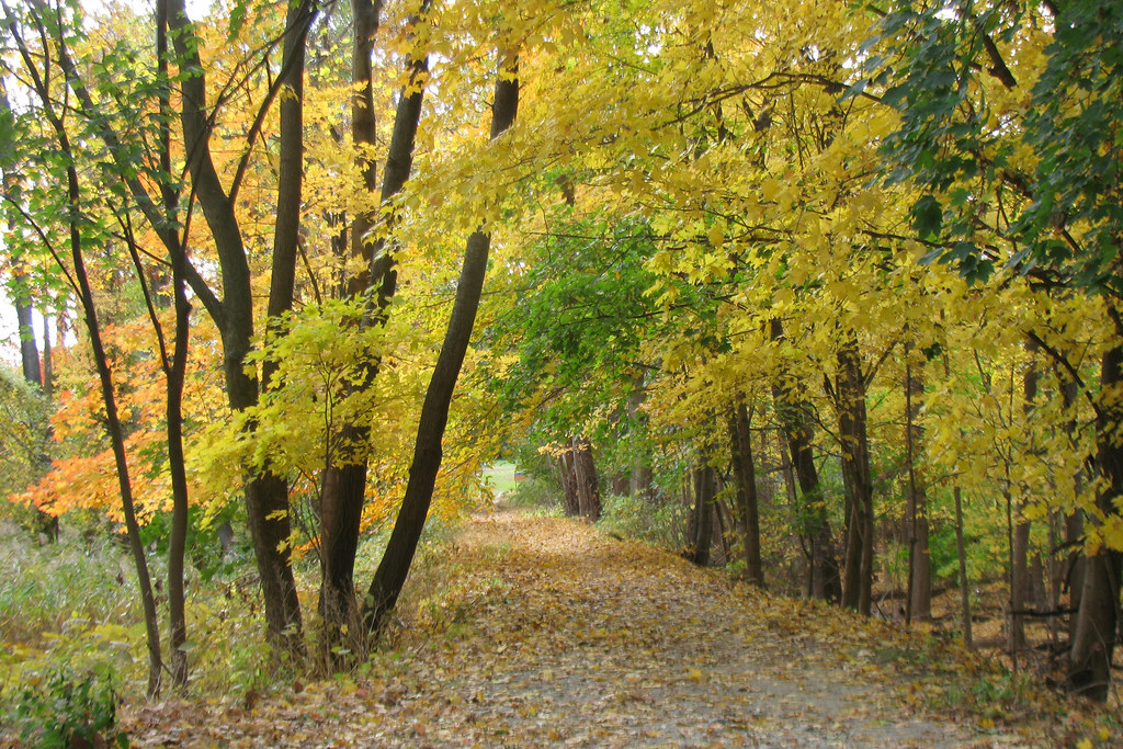 Old Croton Trail Revisited