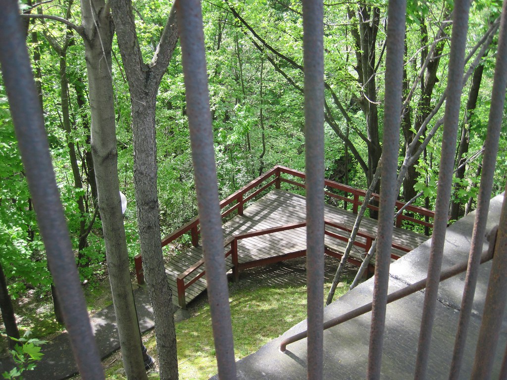 Old Croton Aqueduct Spring 2010