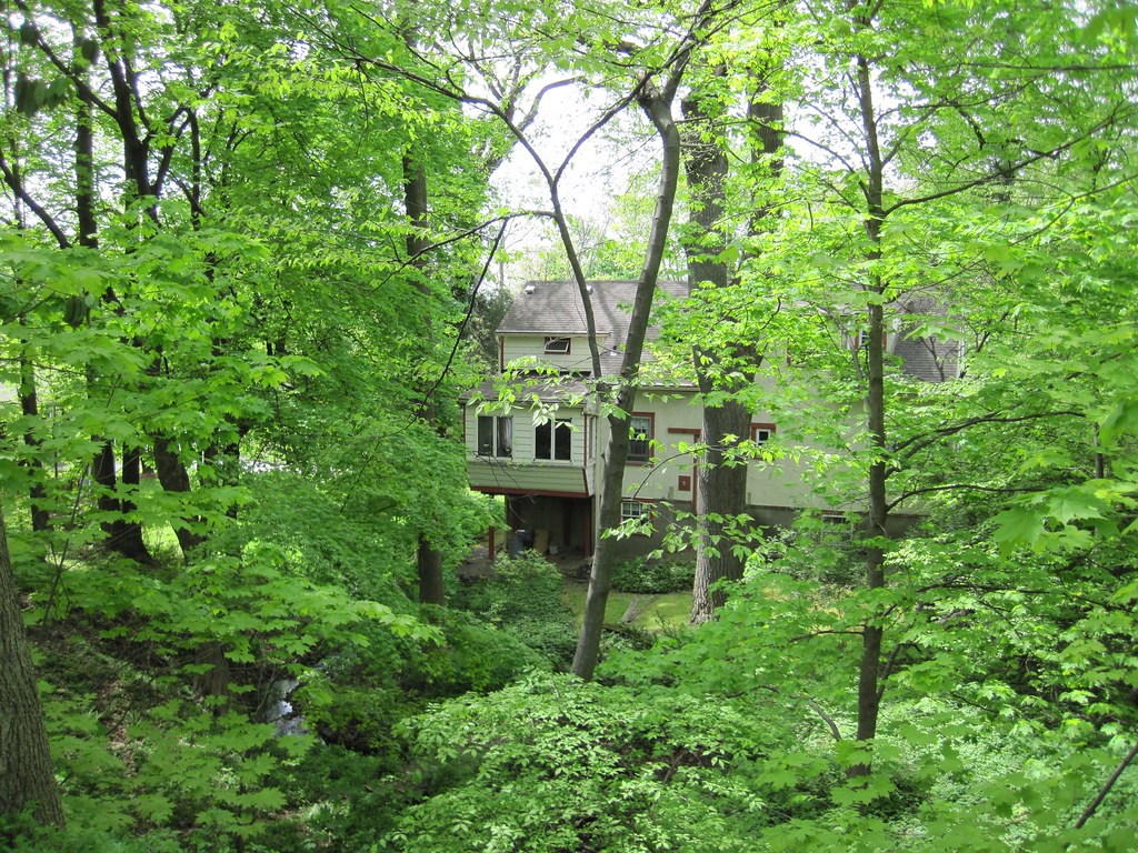 Old Croton Aqueduct Spring 2010