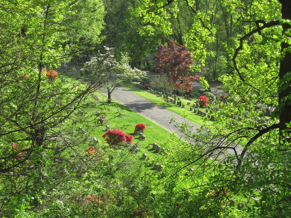 Old Croton Aqueduct Spring 2010