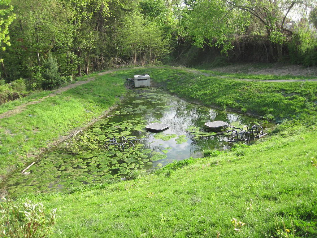 Old Croton Aqueduct Spring 2010
